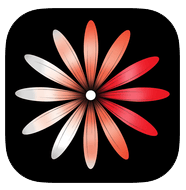 App01.png App01.png