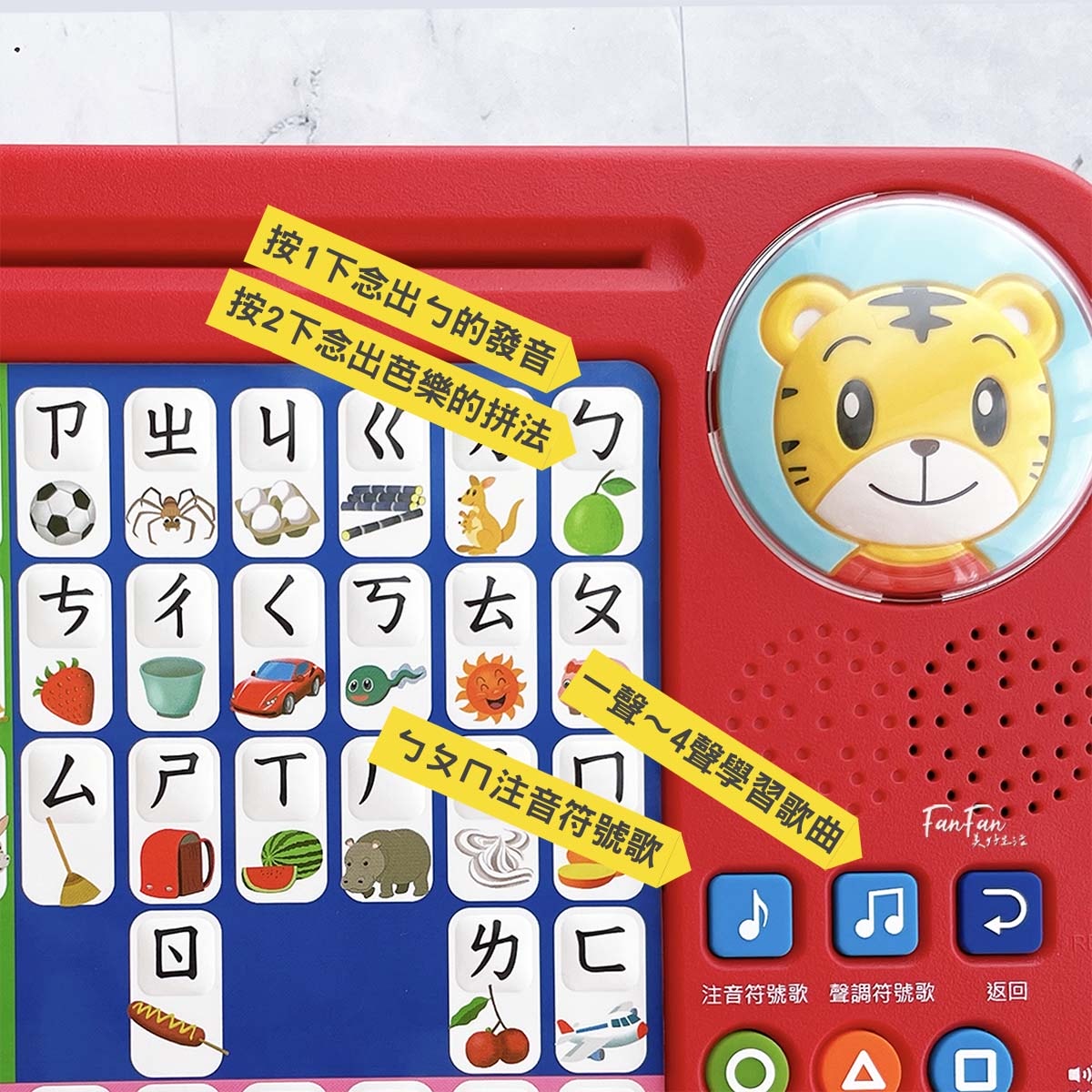2026巧連智開團｜和巧虎一起說英語初階版&進階版、巧虎注音拼音學習套組、和巧虎一起學數學、聰明左右腦點讀大冒險、寶寶生活好習慣套組、好情緒EQ X 品格人際套組、小學生橋梁書完整開箱！開團才有的贈品