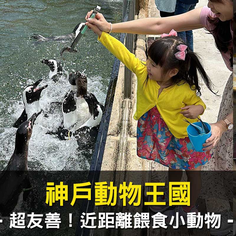 日本旅遊神卡!聯邦吉鶴卡+玉山熊本熊信用卡,回饋多支付超方便!旅日神卡推薦! - 第32張圖 日本旅遊神卡!聯邦吉鶴卡+玉山熊本熊信用卡,回饋多支付超方便!旅日神卡推薦!