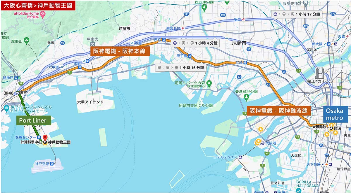 神戶動物王國｜來去神戶餵企鵝跟海豹，還有鵜鶘與貓頭鷹，超近距離與動物親近互動｜神戶親子景點推薦！Kobe Animal Kingdom