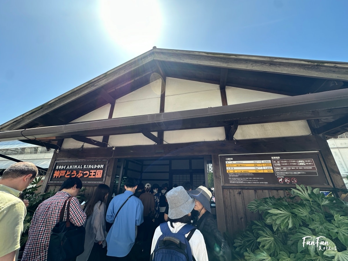 神戶動物王國｜來去神戶餵企鵝跟海豹，還有鵜鶘與貓頭鷹，超近距離與動物親近互動｜神戶親子景點推薦！Kobe Animal Kingdom