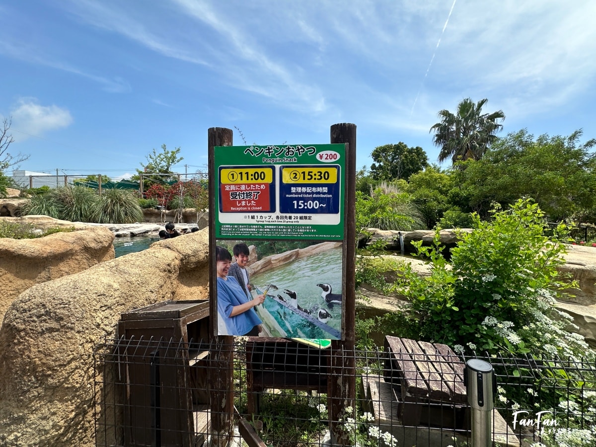 神戶動物王國｜來去神戶餵企鵝跟海豹，還有鵜鶘與貓頭鷹，超近距離與動物親近互動｜神戶親子景點推薦！Kobe Animal Kingdom