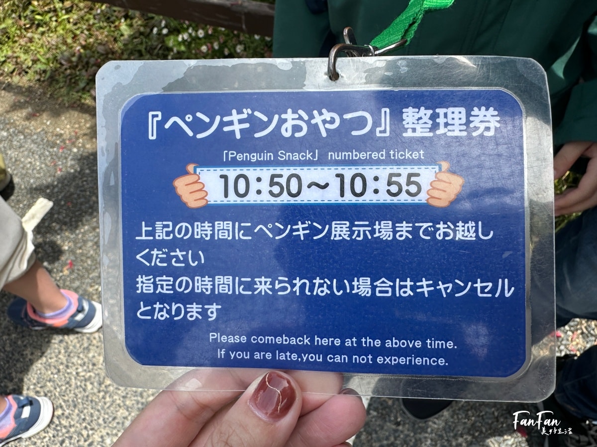 神戶動物王國｜來去神戶餵企鵝跟海豹，還有鵜鶘與貓頭鷹，超近距離與動物親近互動｜神戶親子景點推薦！Kobe Animal Kingdom