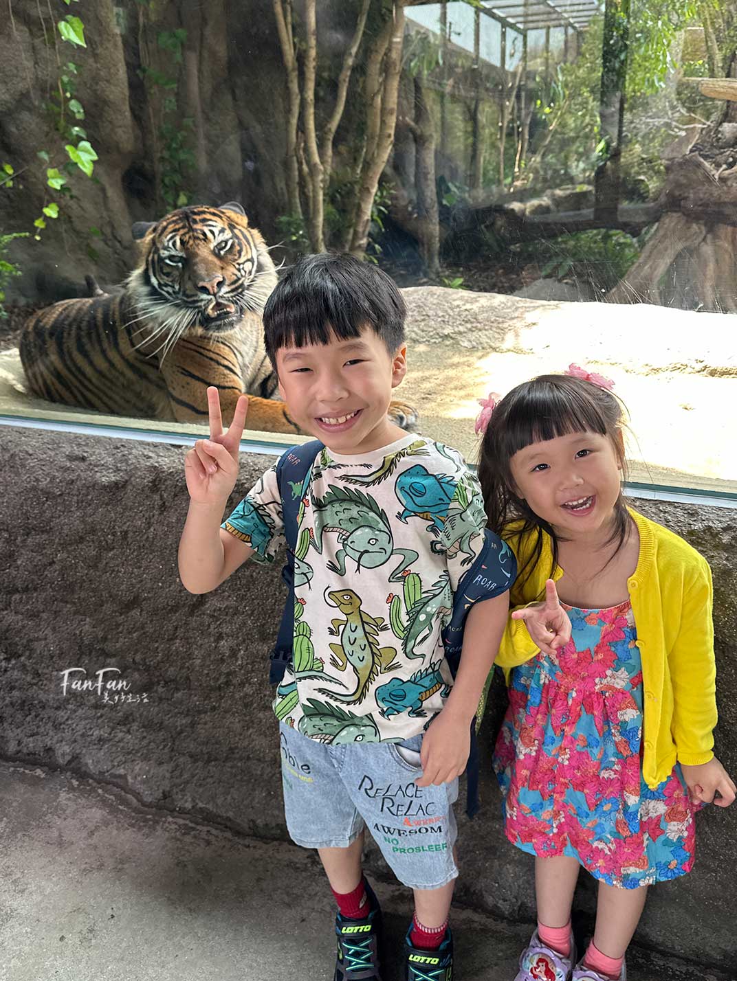神戶動物王國｜來去神戶餵企鵝跟海豹，還有鵜鶘與貓頭鷹，超近距離與動物親近互動｜神戶親子景點推薦！Kobe Animal Kingdom
