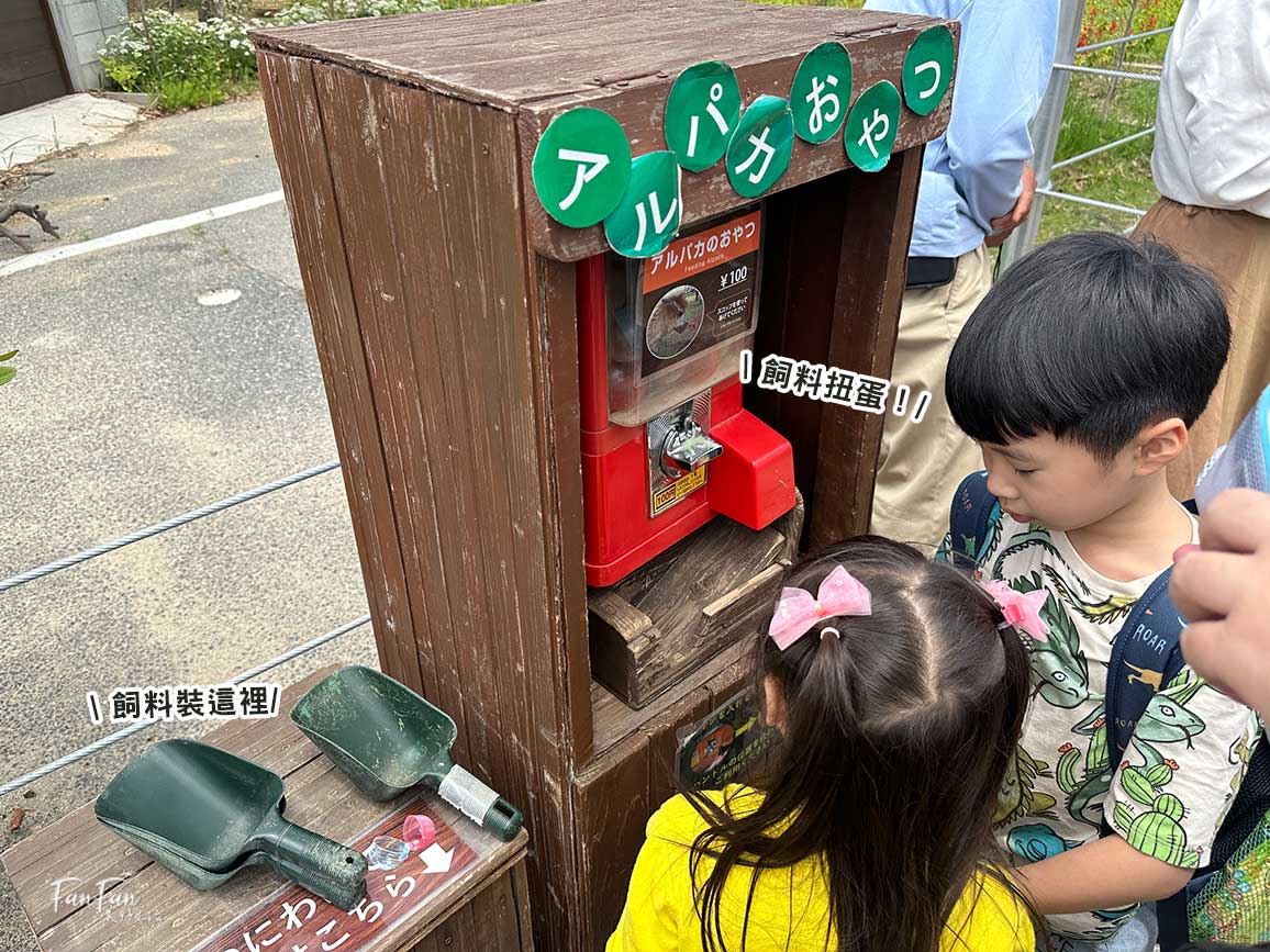 神戶動物王國｜來去神戶餵企鵝跟海豹，還有鵜鶘與貓頭鷹，超近距離與動物親近互動｜神戶親子景點推薦！Kobe Animal Kingdom