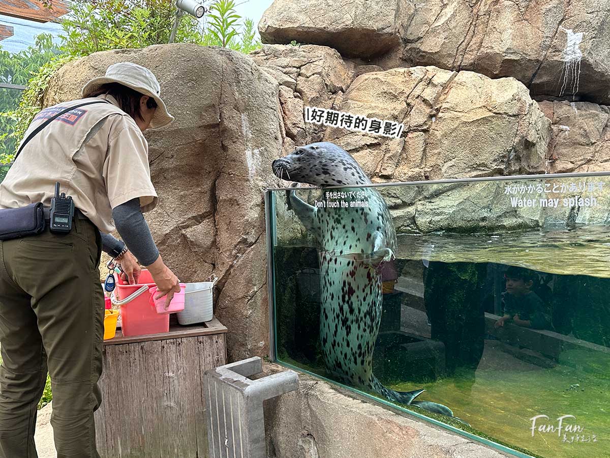 神戶動物王國｜來去神戶餵企鵝跟海豹，還有鵜鶘與貓頭鷹，超近距離與動物親近互動｜神戶親子景點推薦！Kobe Animal Kingdom