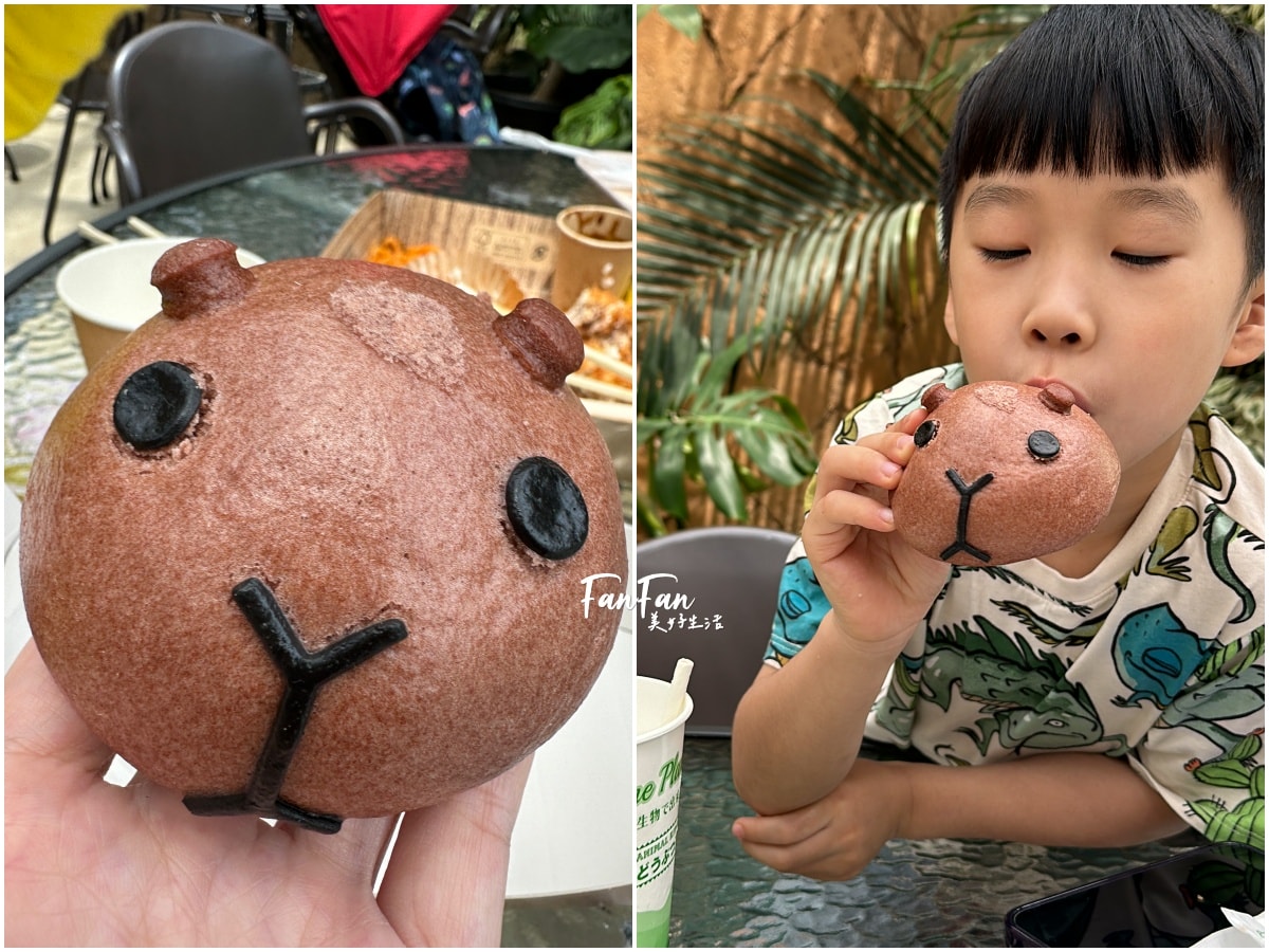 神戶動物王國｜來去神戶餵企鵝跟海豹，還有鵜鶘與貓頭鷹，超近距離與動物親近互動｜神戶親子景點推薦！Kobe Animal Kingdom