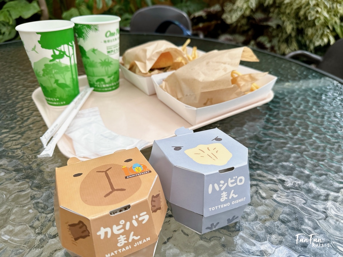 神戶動物王國｜來去神戶餵企鵝跟海豹，還有鵜鶘與貓頭鷹，超近距離與動物親近互動｜神戶親子景點推薦！Kobe Animal Kingdom