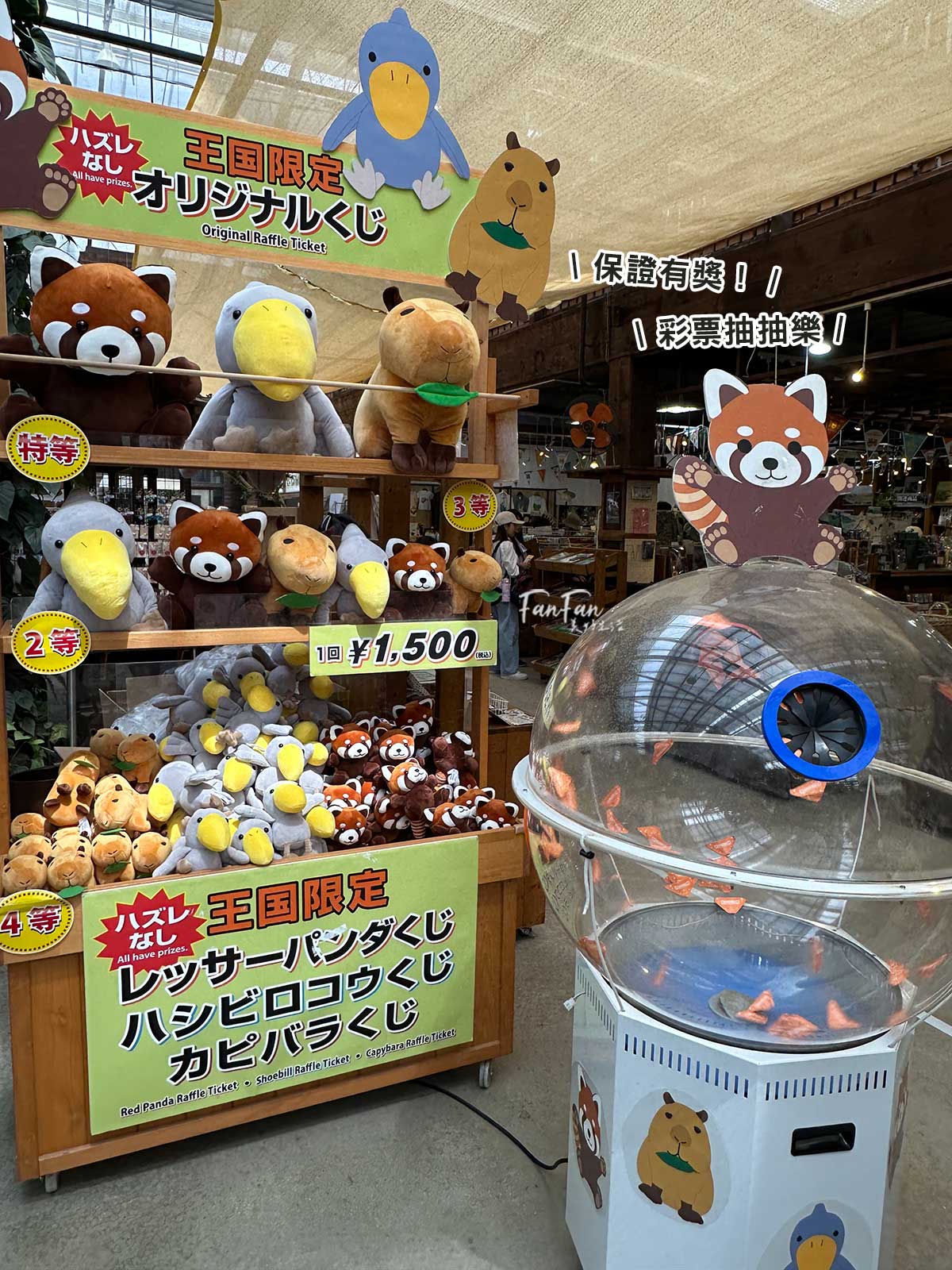 神戶動物王國｜來去神戶餵企鵝跟海豹，還有鵜鶘與貓頭鷹，超近距離與動物親近互動｜神戶親子景點推薦！Kobe Animal Kingdom