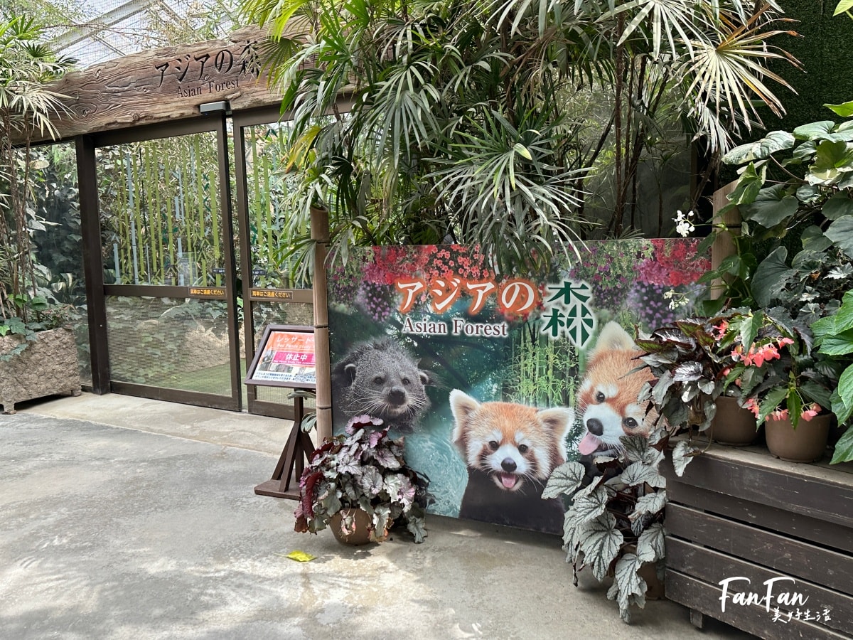 神戶動物王國｜來去神戶餵企鵝跟海豹，還有鵜鶘與貓頭鷹，超近距離與動物親近互動｜神戶親子景點推薦！Kobe Animal Kingdom