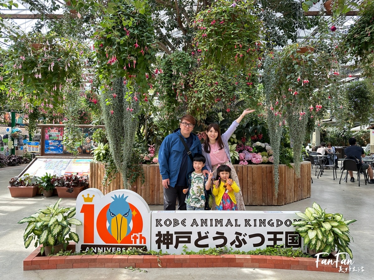 神戶動物王國｜來去神戶餵企鵝跟海豹，還有鵜鶘與貓頭鷹，超近距離與動物親近互動｜神戶親子景點推薦！Kobe Animal Kingdom