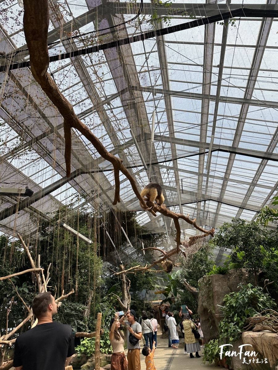 神戶動物王國｜來去神戶餵企鵝跟海豹，還有鵜鶘與貓頭鷹，超近距離與動物親近互動｜神戶親子景點推薦！Kobe Animal Kingdom
