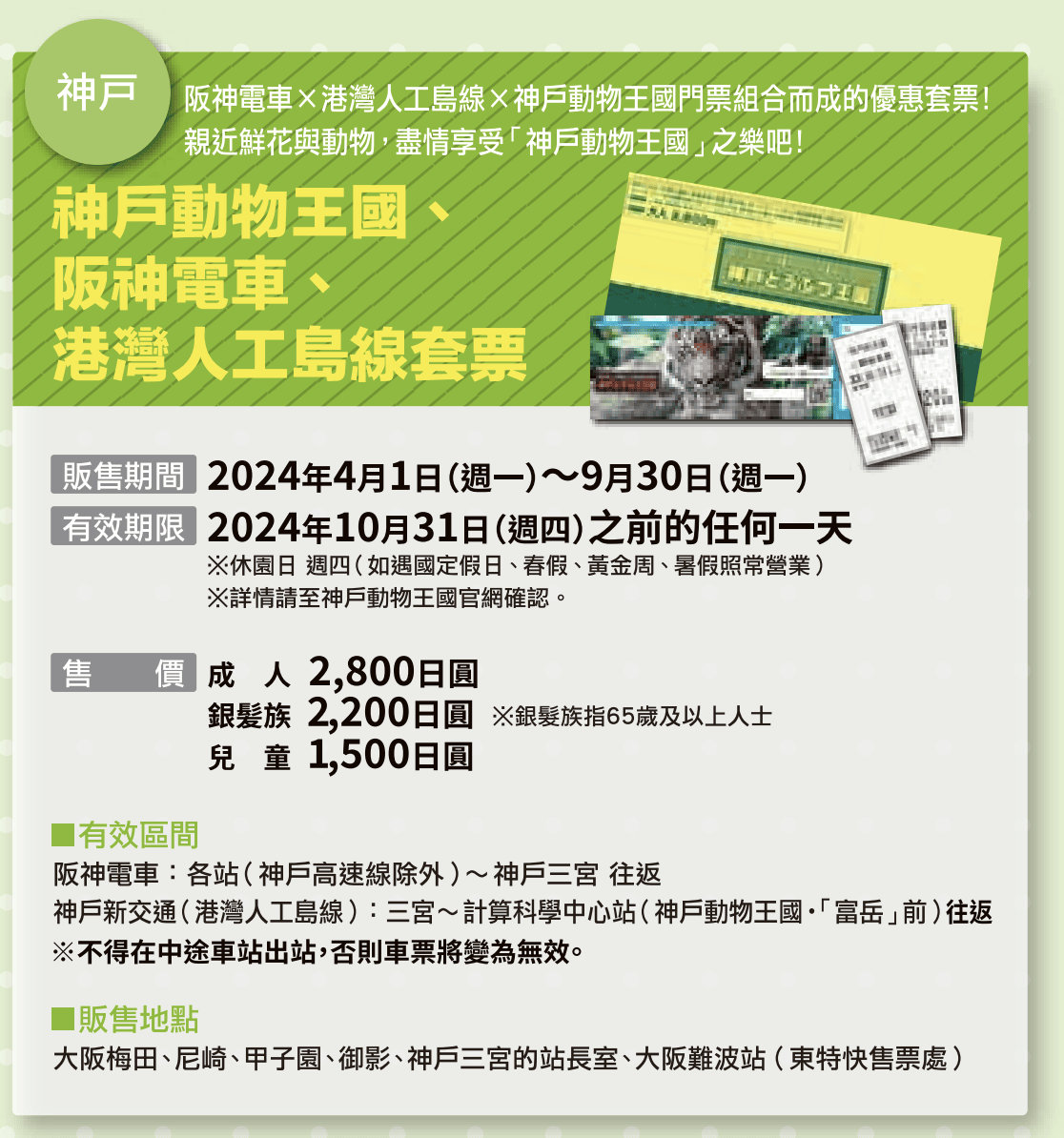 神戶動物王國｜來去神戶餵企鵝跟海豹，還有鵜鶘與貓頭鷹，超近距離與動物親近互動｜神戶親子景點推薦！Kobe Animal Kingdom