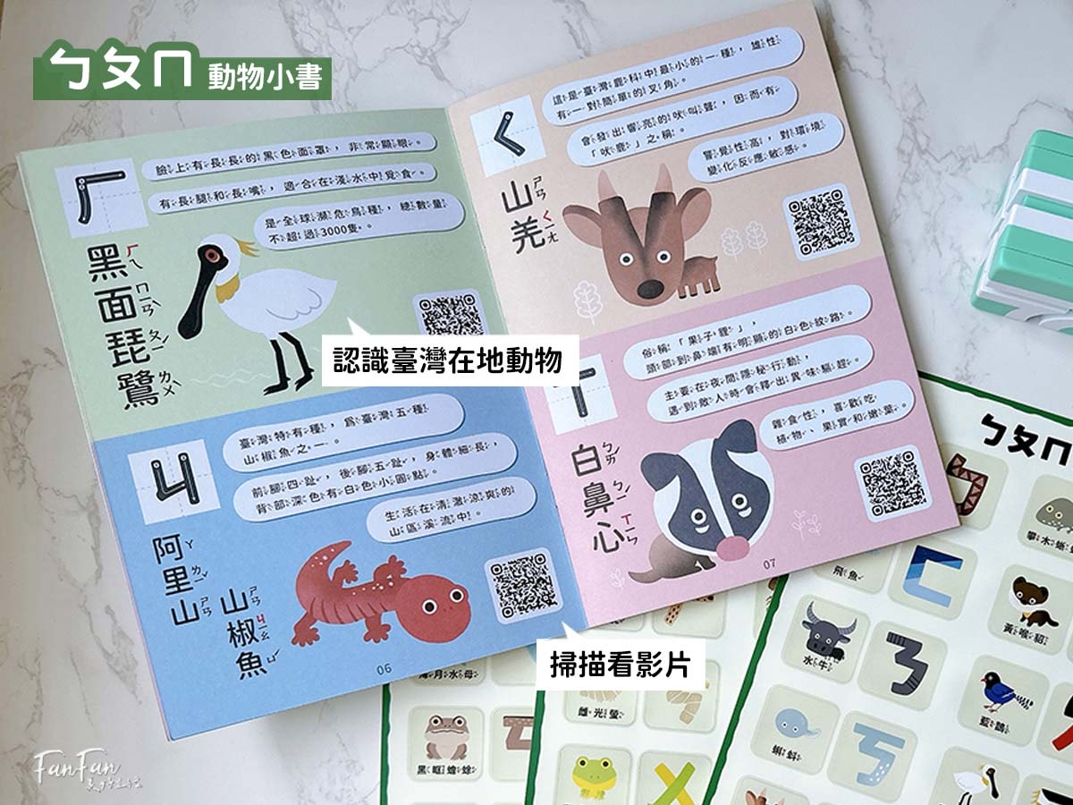 2024新品！Qbi益智軌道磁吸玩具ㄅㄆㄇ臺灣動物同樂組，結合臺灣昆蟲動物Ｘ注音學習的益智軌道玩具｜蝌蚪老師動物探險隊聯名款