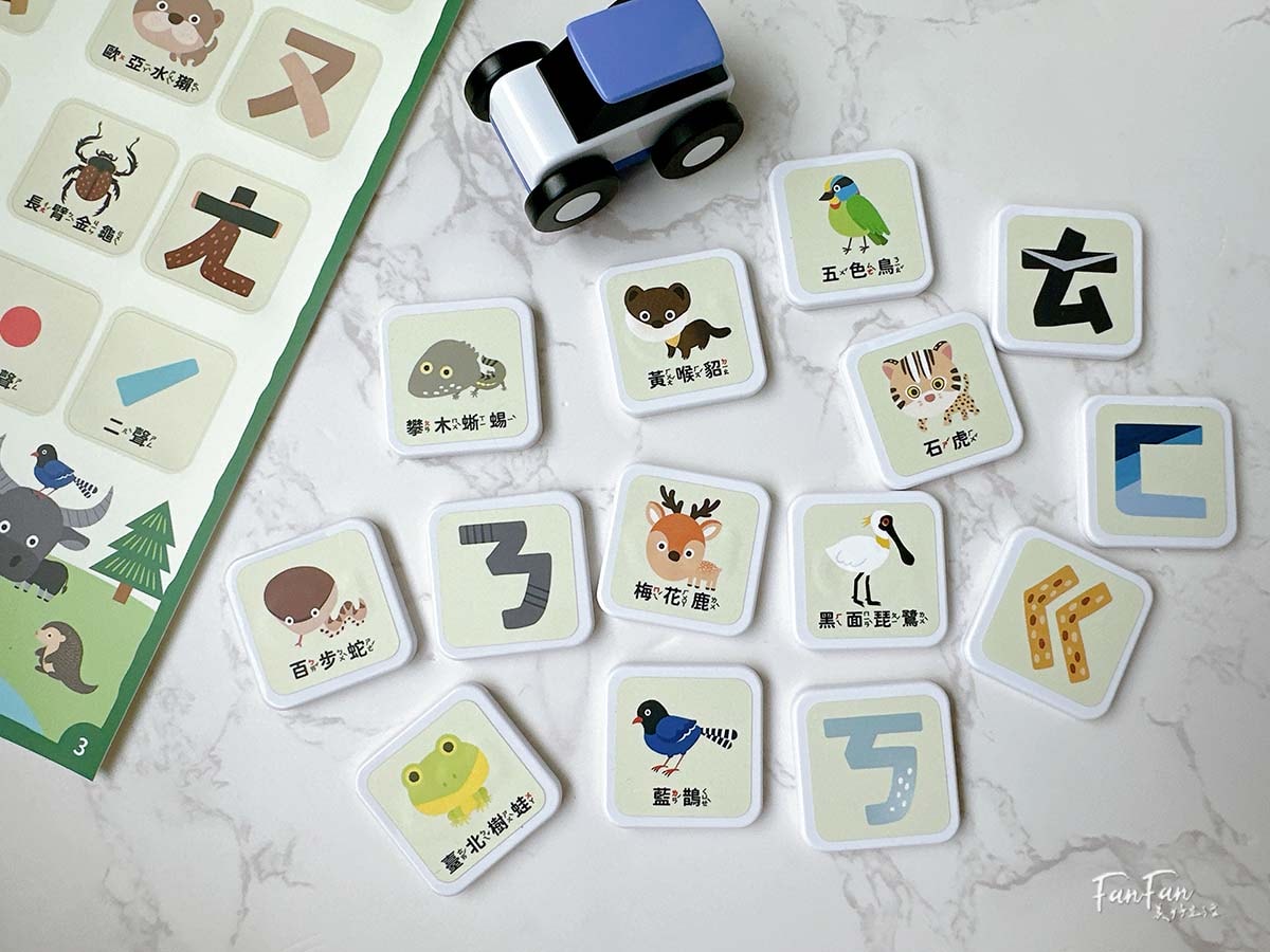 2024新品！Qbi益智軌道磁吸玩具ㄅㄆㄇ臺灣動物同樂組，結合臺灣昆蟲動物Ｘ注音學習的益智軌道玩具｜蝌蚪老師動物探險隊聯名款