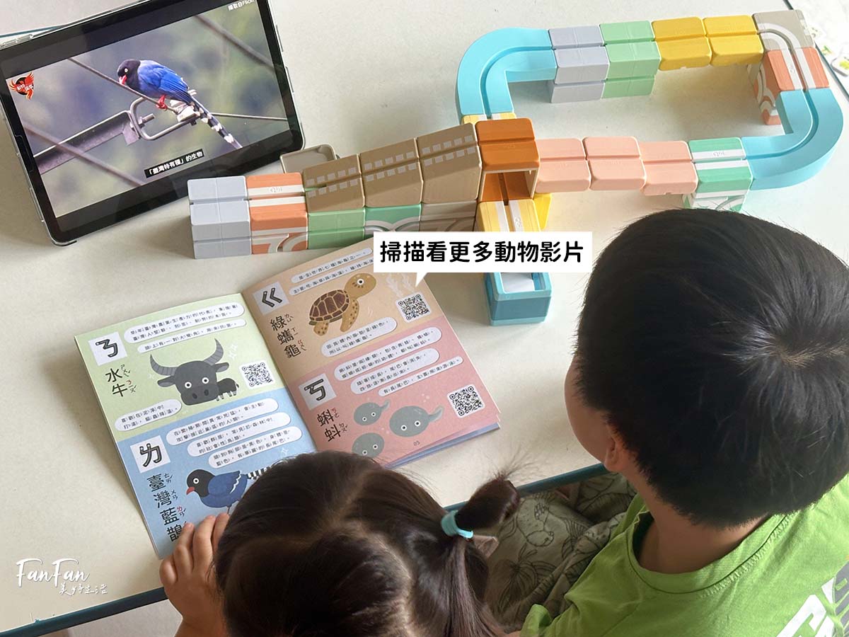 2024新品！Qbi益智軌道磁吸玩具ㄅㄆㄇ臺灣動物同樂組，結合臺灣昆蟲動物Ｘ注音學習的益智軌道玩具｜蝌蚪老師動物探險隊聯名款