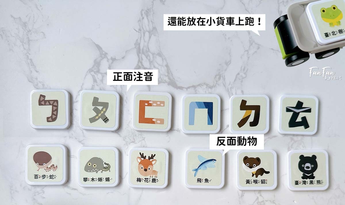 2024新品！Qbi益智軌道磁吸玩具ㄅㄆㄇ臺灣動物同樂組，結合臺灣昆蟲動物Ｘ注音學習的益智軌道玩具｜蝌蚪老師動物探險隊聯名款