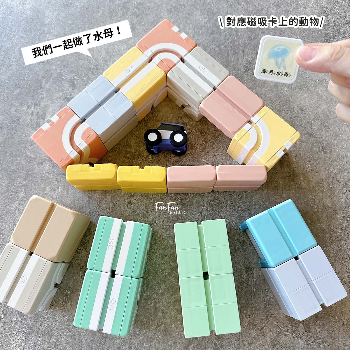2024新品！Qbi益智軌道磁吸玩具ㄅㄆㄇ臺灣動物同樂組，結合臺灣昆蟲動物Ｘ注音學習的益智軌道玩具｜蝌蚪老師動物探險隊聯名款