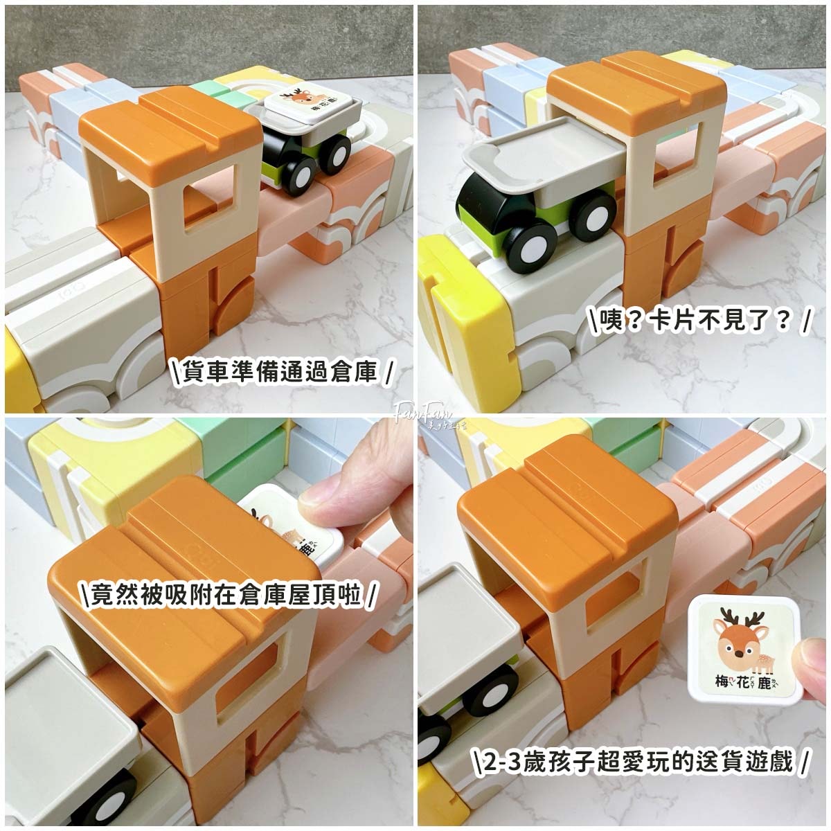 2024新品！Qbi益智軌道磁吸玩具ㄅㄆㄇ臺灣動物同樂組，結合臺灣昆蟲動物Ｘ注音學習的益智軌道玩具｜蝌蚪老師動物探險隊聯名款