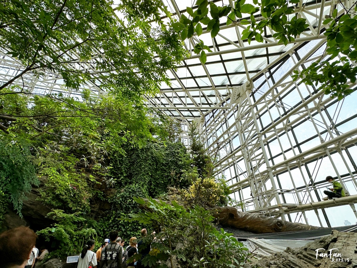 大阪海遊館｜必看鯨鯊海豹企鵝游泳，超壯觀大型水族館｜KAIYUKAN海遊館門票交通票價整理｜大阪親子景點、雨備景點推薦