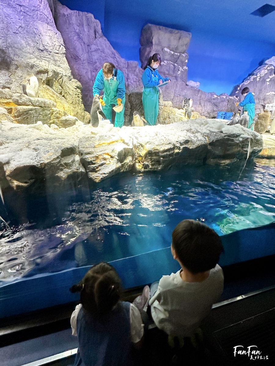 大阪海遊館｜必看鯨鯊海豹企鵝游泳，超壯觀大型水族館｜KAIYUKAN海遊館門票交通票價整理｜大阪親子景點、雨備景點推薦