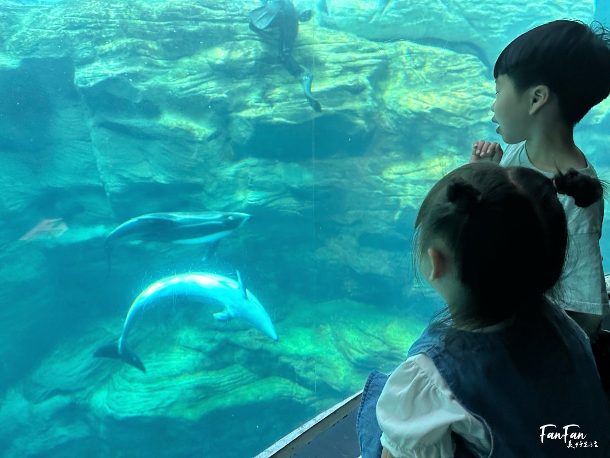 大阪海遊館｜必看鯨鯊海豹企鵝游泳，超壯觀大型水族館｜KAIYUKAN海遊館門票交通票價整理｜大阪親子景點、雨備景點推薦