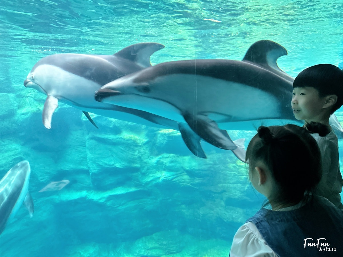 大阪海遊館｜必看鯨鯊海豹企鵝游泳，超壯觀大型水族館｜KAIYUKAN海遊館門票交通票價整理｜大阪親子景點、雨備景點推薦