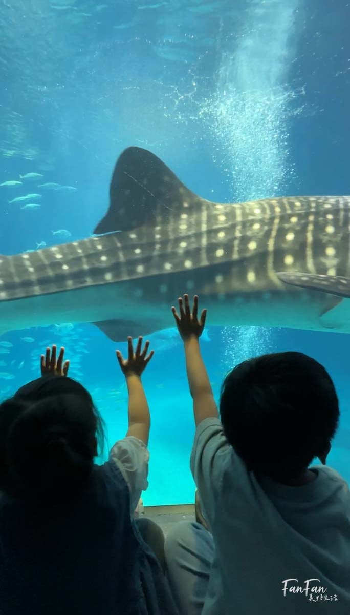 大阪海遊館｜必看鯨鯊海豹企鵝游泳，超壯觀大型水族館｜KAIYUKAN海遊館門票交通票價整理｜大阪親子景點、雨備景點推薦