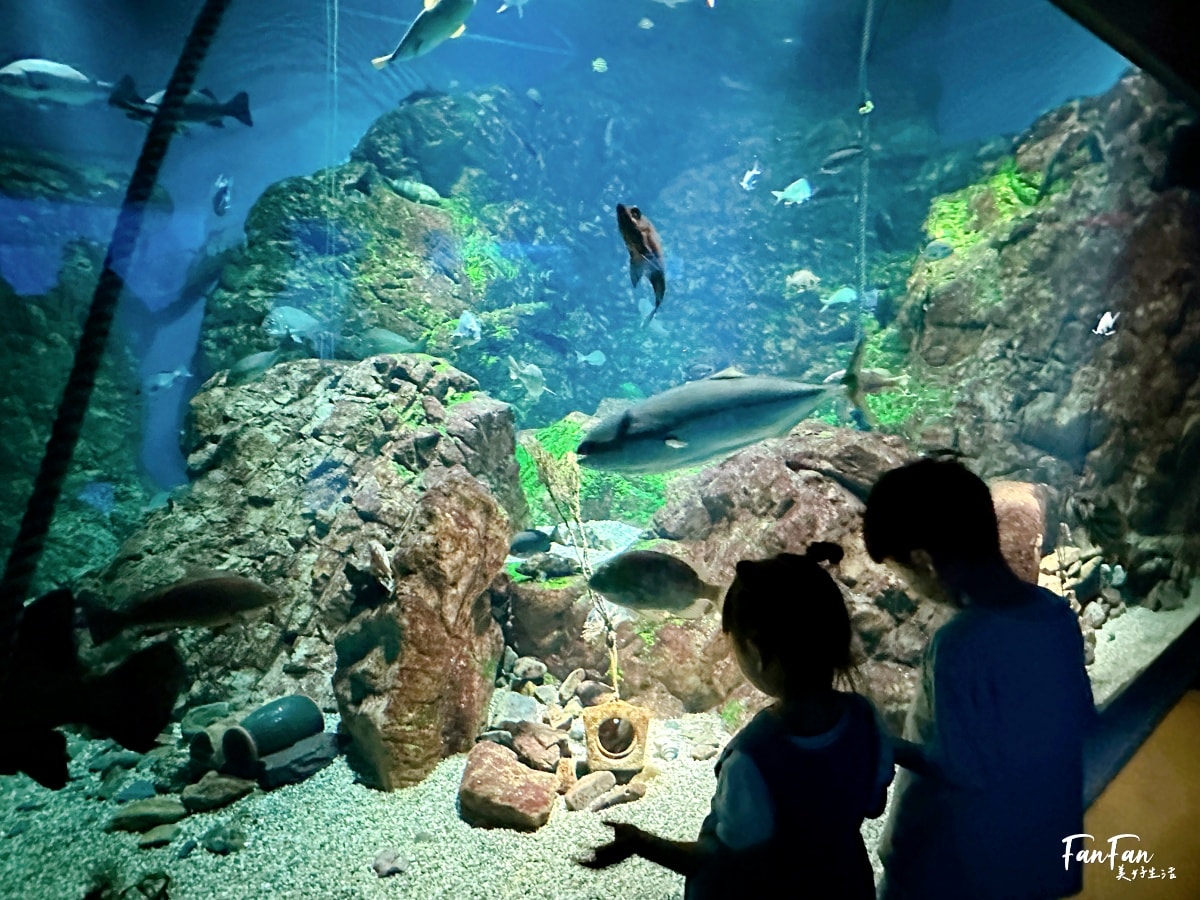 大阪海遊館｜必看鯨鯊海豹企鵝游泳，超壯觀大型水族館｜KAIYUKAN海遊館門票交通票價整理｜大阪親子景點、雨備景點推薦