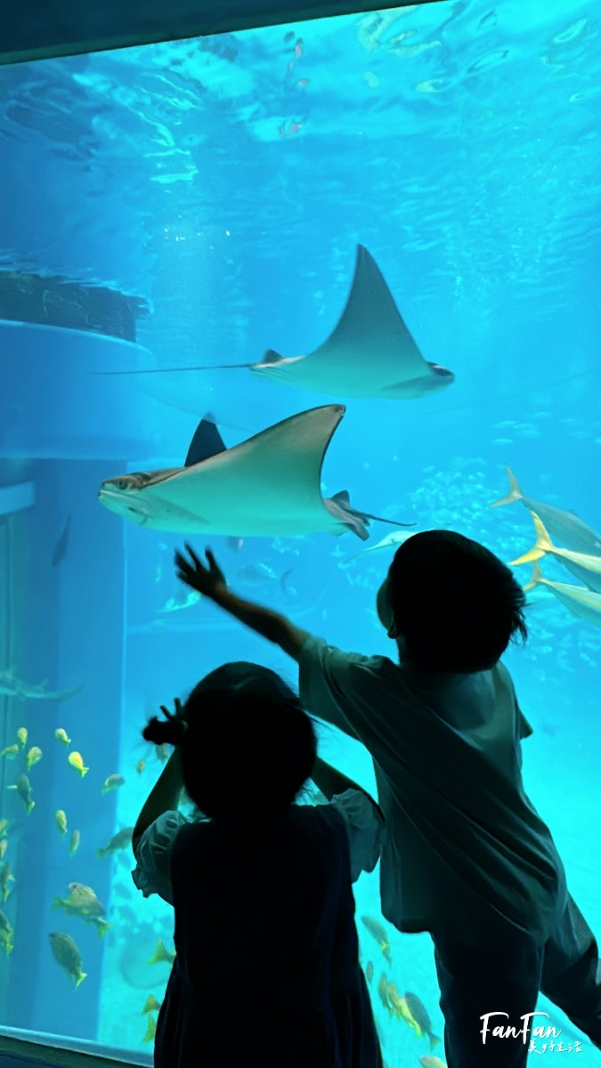 大阪海遊館｜必看鯨鯊海豹企鵝游泳，超壯觀大型水族館｜KAIYUKAN海遊館門票交通票價整理｜大阪親子景點、雨備景點推薦