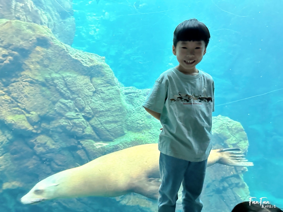 大阪海遊館｜必看鯨鯊海豹企鵝游泳，超壯觀大型水族館｜KAIYUKAN海遊館門票交通票價整理｜大阪親子景點、雨備景點推薦
