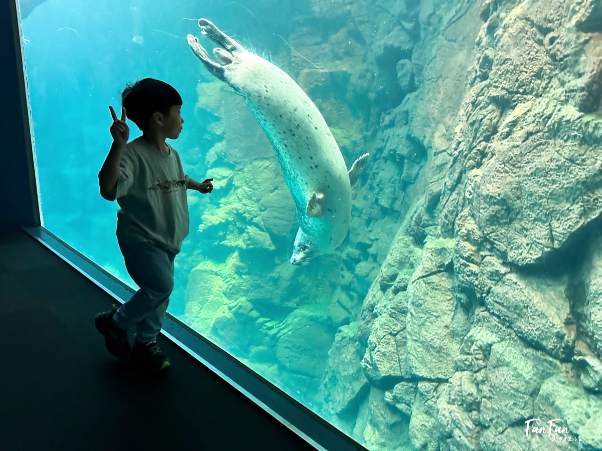 大阪海遊館｜必看鯨鯊海豹企鵝游泳，超壯觀大型水族館｜KAIYUKAN海遊館門票交通票價整理｜大阪親子景點、雨備景點推薦