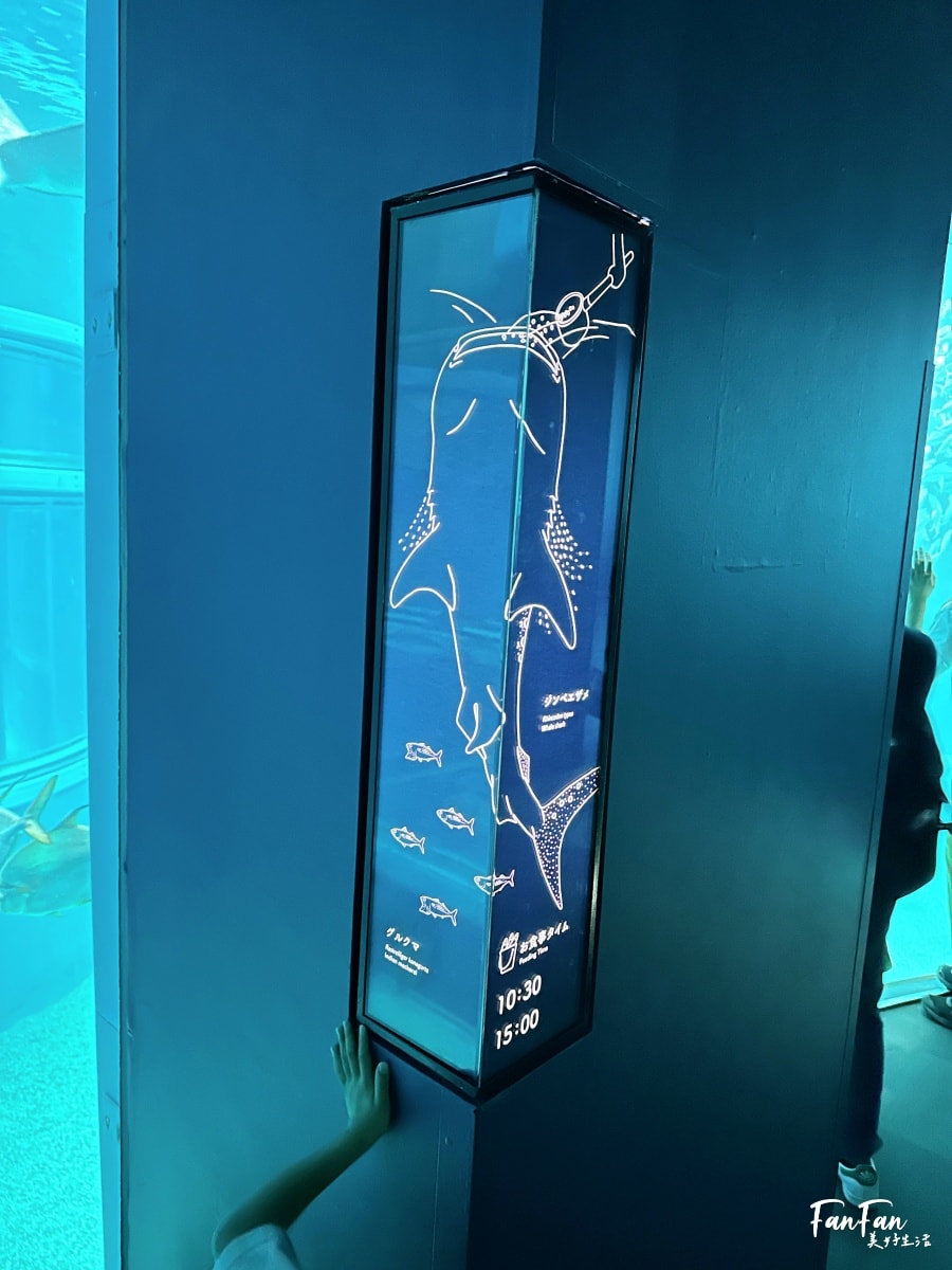 大阪海遊館｜必看鯨鯊海豹企鵝游泳，超壯觀大型水族館｜KAIYUKAN海遊館門票交通票價整理｜大阪親子景點、雨備景點推薦