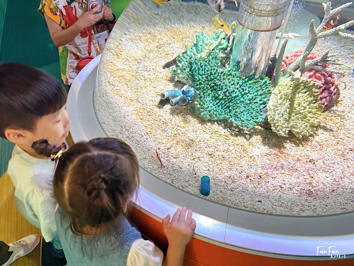 大阪海遊館｜必看鯨鯊海豹企鵝游泳，超壯觀大型水族館｜KAIYUKAN海遊館門票交通票價整理｜大阪親子景點、雨備景點推薦