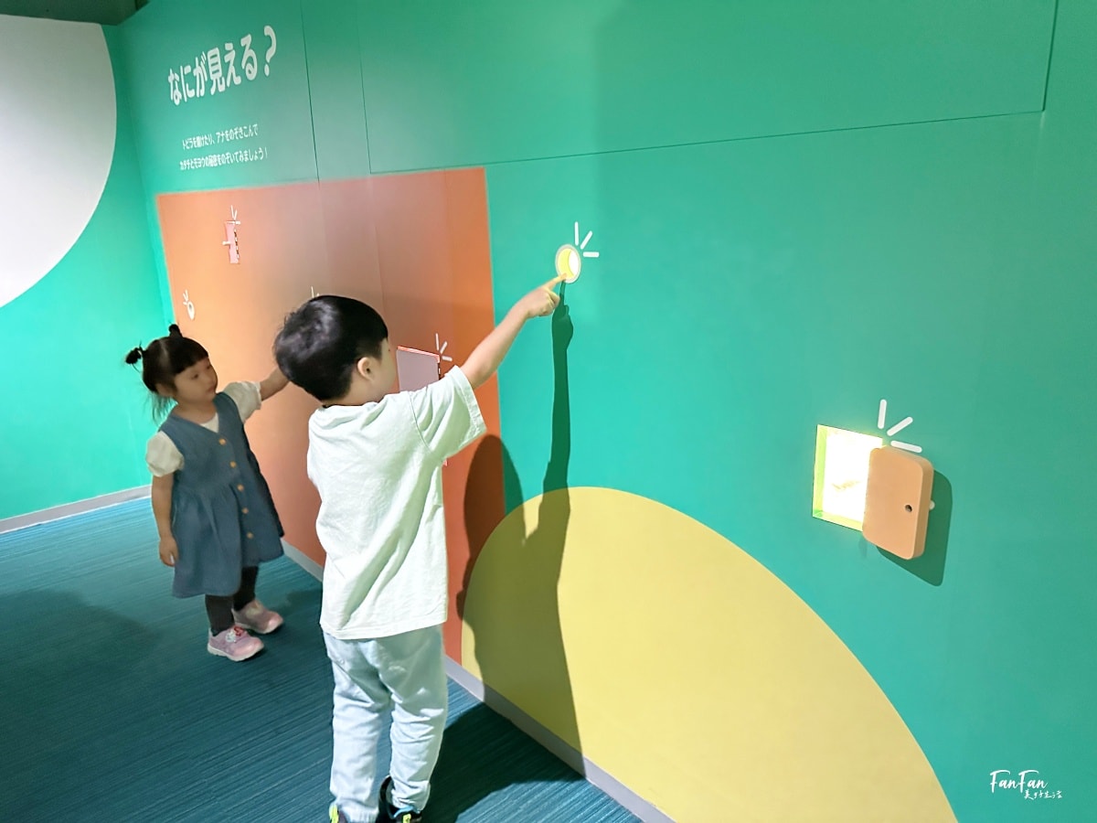 大阪海遊館｜必看鯨鯊海豹企鵝游泳，超壯觀大型水族館｜KAIYUKAN海遊館門票交通票價整理｜大阪親子景點、雨備景點推薦