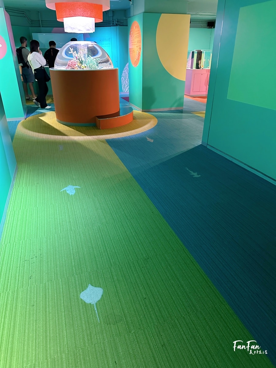 大阪海遊館｜必看鯨鯊海豹企鵝游泳，超壯觀大型水族館｜KAIYUKAN海遊館門票交通票價整理｜大阪親子景點、雨備景點推薦