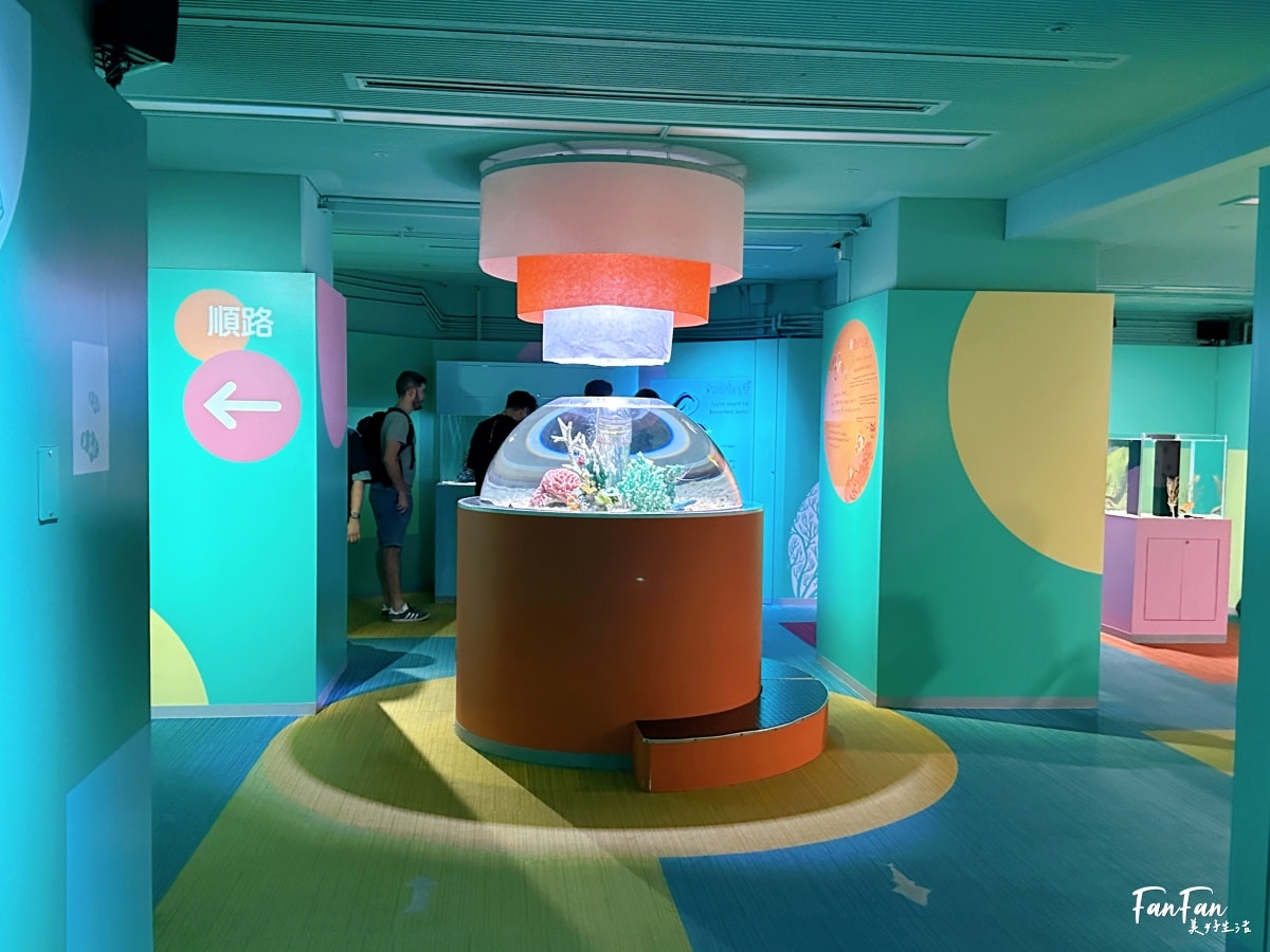 大阪海遊館｜必看鯨鯊海豹企鵝游泳，超壯觀大型水族館｜KAIYUKAN海遊館門票交通票價整理｜大阪親子景點、雨備景點推薦