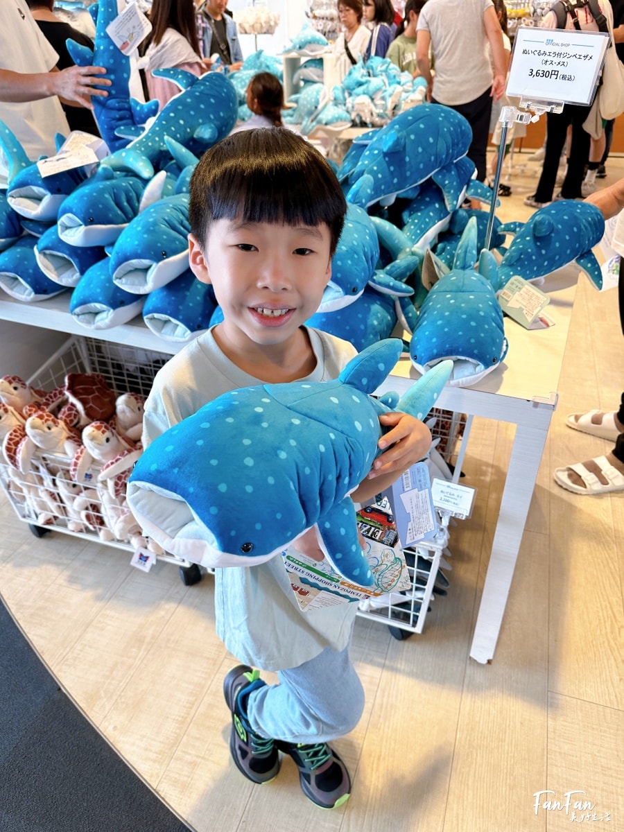 大阪海遊館｜必看鯨鯊海豹企鵝游泳，超壯觀大型水族館｜KAIYUKAN海遊館門票交通票價整理｜大阪親子景點、雨備景點推薦