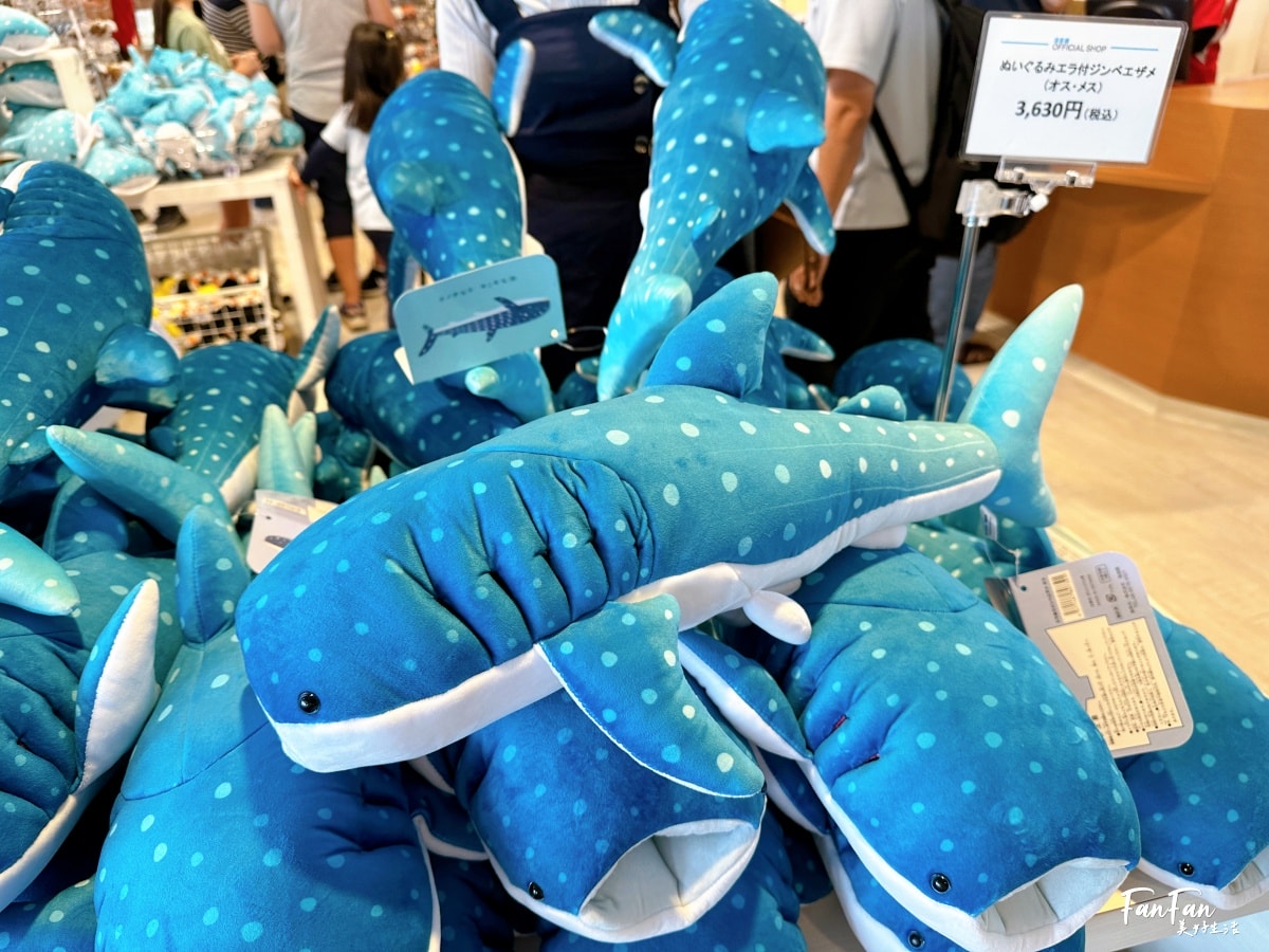 大阪海遊館｜必看鯨鯊海豹企鵝游泳，超壯觀大型水族館｜KAIYUKAN海遊館門票交通票價整理｜大阪親子景點、雨備景點推薦