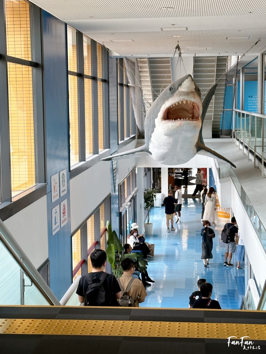 大阪海遊館｜必看鯨鯊海豹企鵝游泳，超壯觀大型水族館｜KAIYUKAN海遊館門票交通票價整理｜大阪親子景點、雨備景點推薦
