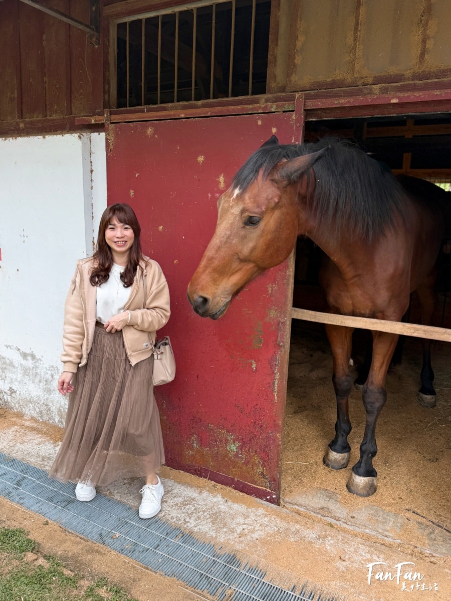 超精彩！美洲瘋馬大馬戲：隱身在后里馬場的精彩馬戲團表演！台中親子景點推薦