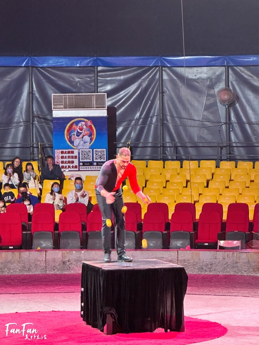 超精彩！美洲瘋馬大馬戲：隱身在后里馬場的精彩馬戲團表演！台中親子景點推薦