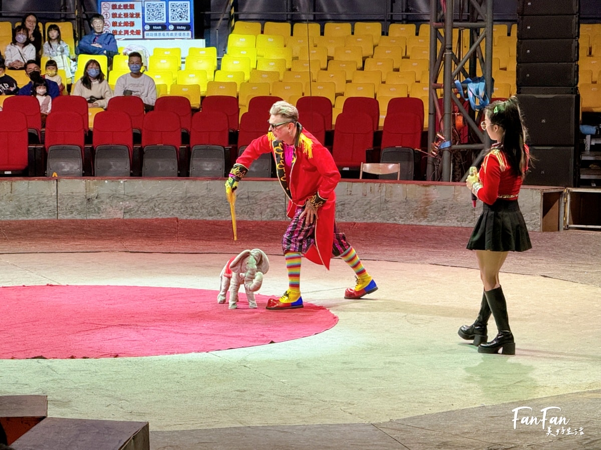 超精彩！美洲瘋馬大馬戲：隱身在后里馬場的精彩馬戲團表演！台中親子景點推薦