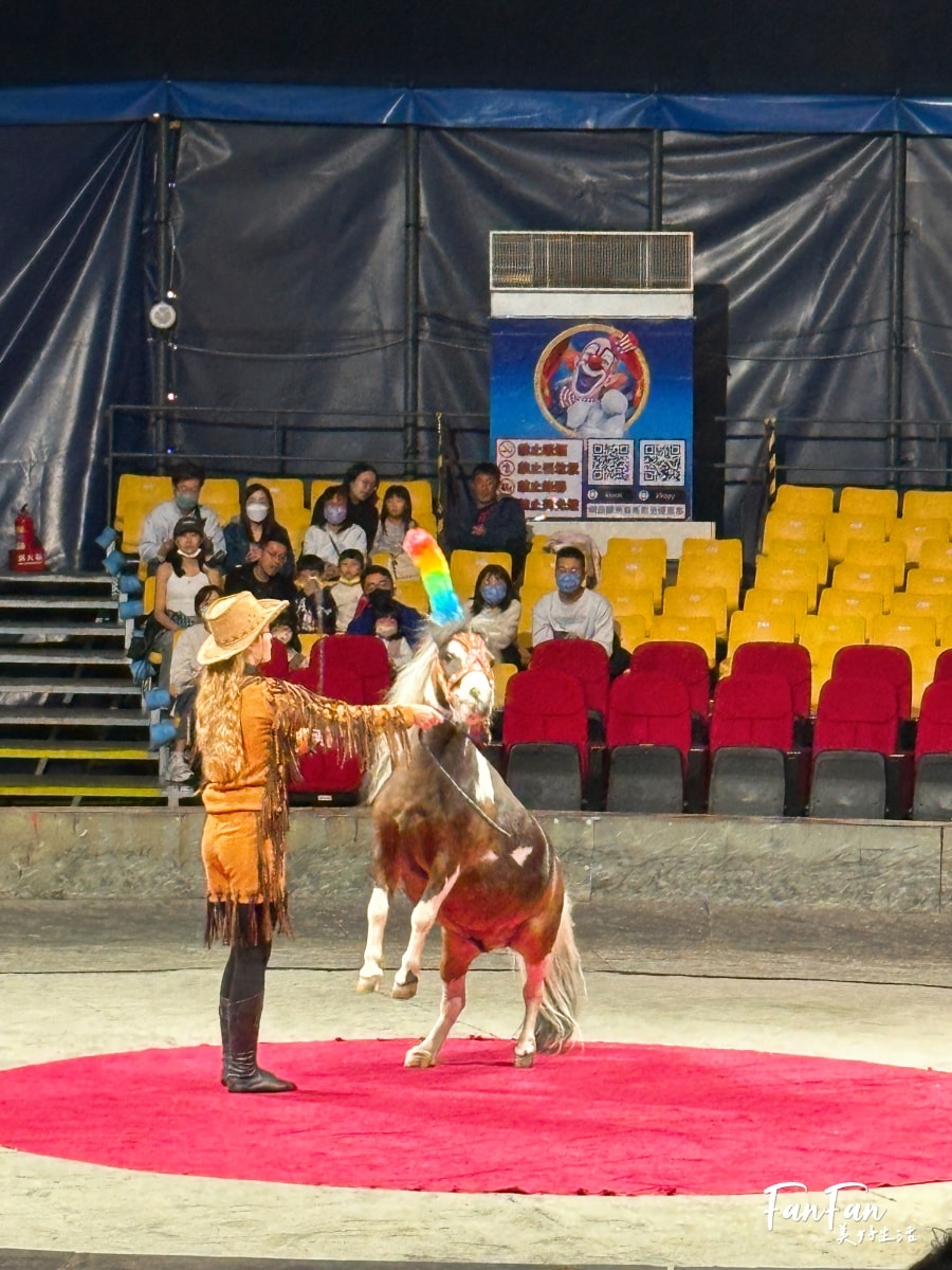 超精彩！美洲瘋馬大馬戲：隱身在后里馬場的精彩馬戲團表演！台中親子景點推薦