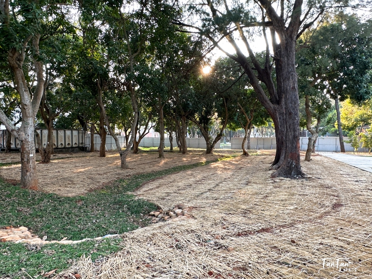 后里森林公園搖籃遊戲場|被樹林包圍好愜意不怕曬!還有林間吊床太愜意啦! - 第24張圖 后里森林公園搖籃遊戲場|被樹林包圍好愜意不怕曬!還有林間吊床太愜意啦!