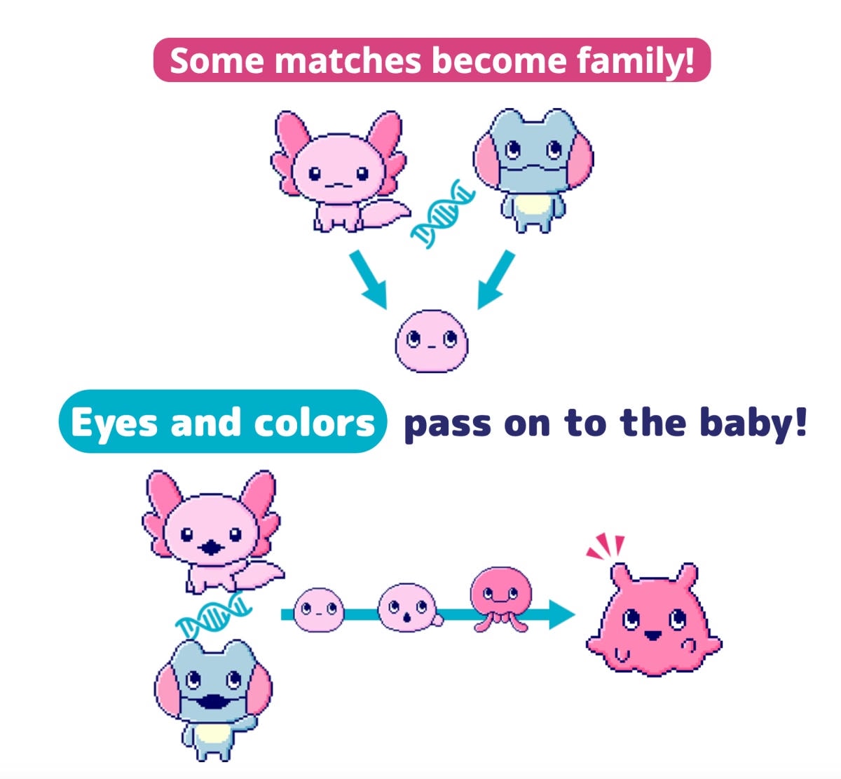 Tamagotchi Paradise攻略進階版！孵育進化、通訊連線、隱藏版角色完整揭秘！塔麻可吉/塔麻歌子/他媽哥池完整飼養攻略(下篇)