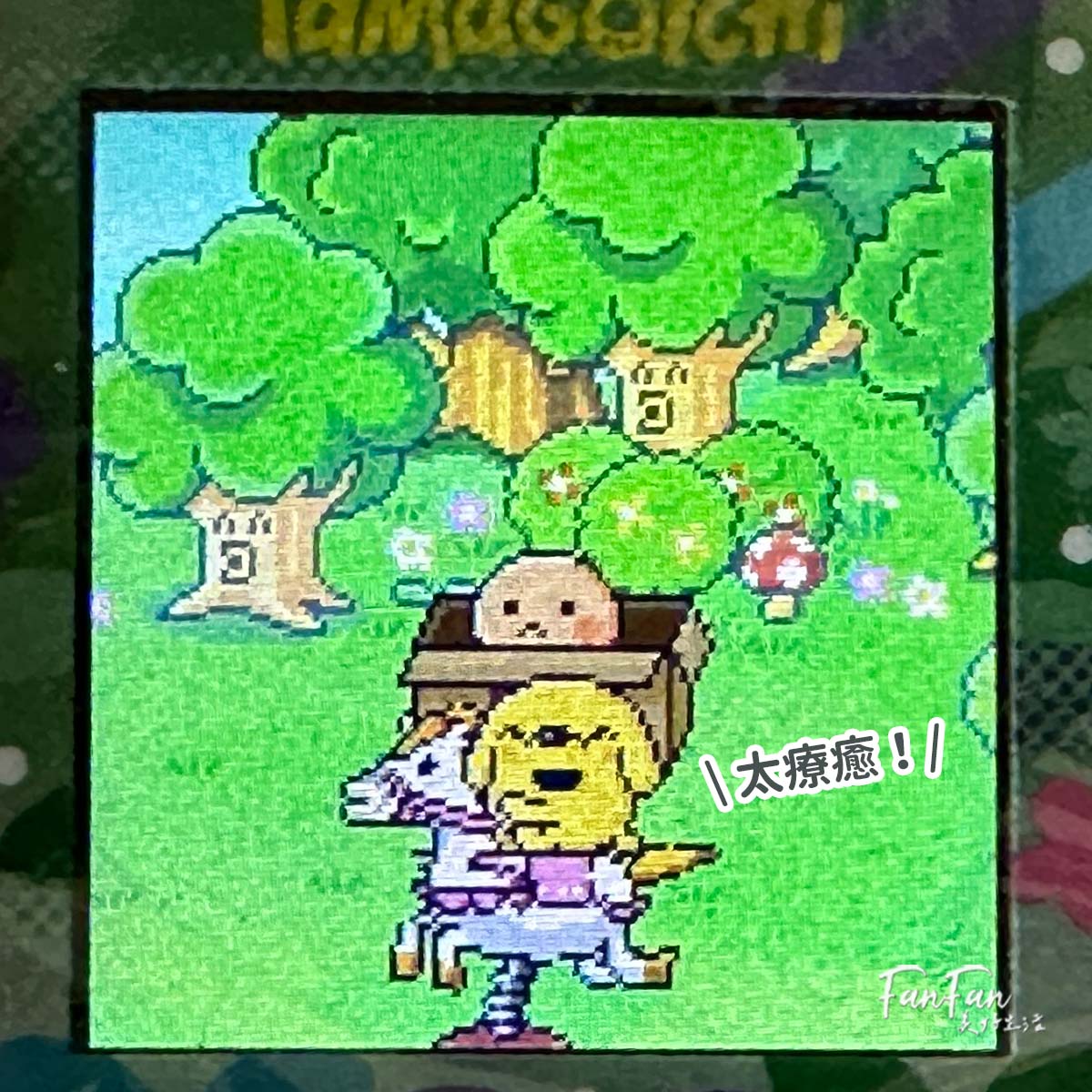 Tamagotchi Paradise攻略進階版！孵育進化、通訊連線、隱藏版角色完整揭秘！塔麻可吉/塔麻歌子/他媽哥池完整飼養攻略(下篇)