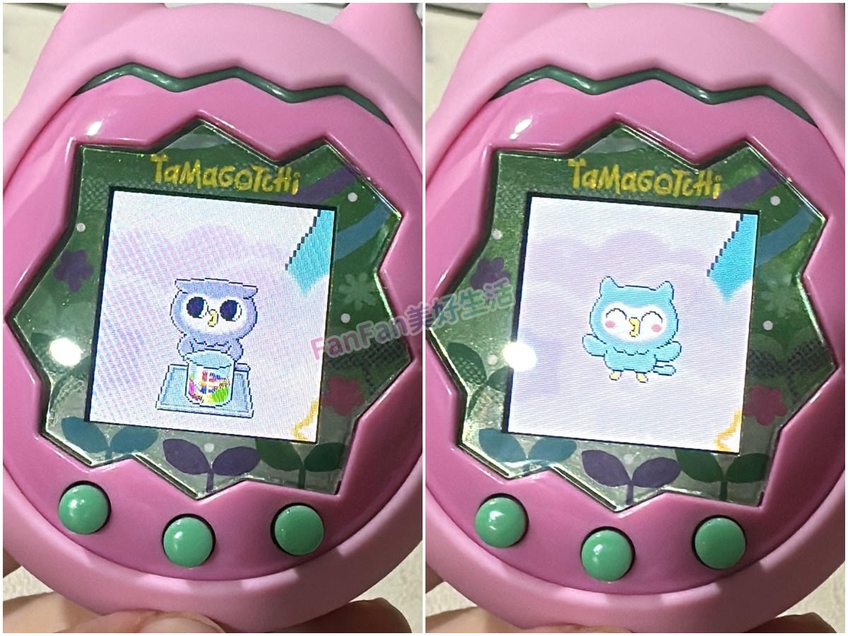 Tamagotchi Paradise攻略進階版！孵育進化、通訊連線、隱藏版角色完整揭秘！塔麻可吉/塔麻歌子/他媽哥池完整飼養攻略(下篇)