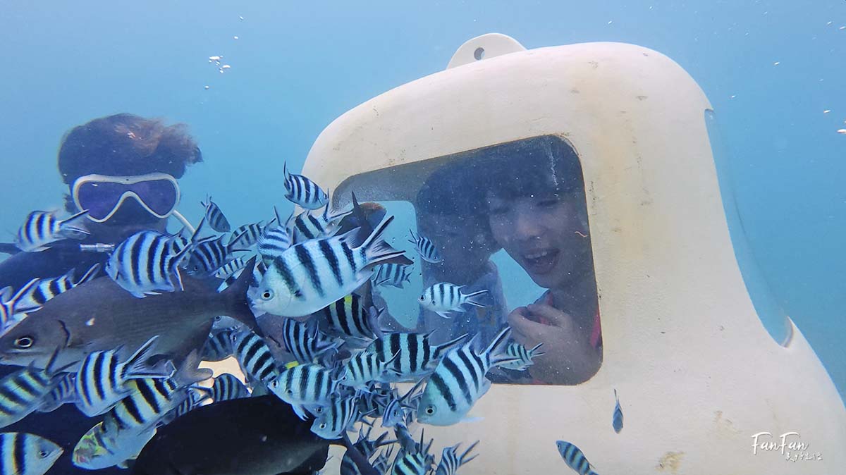 沖繩必玩!不用憋氣也能到海底看熱帶魚!沖繩潛水滑板車/海底滑板車|古宇利大橋水下活動推薦|思い出販売所美ら海潜水 - 第10張圖 沖繩必玩!不用憋氣也能到海底看熱帶魚!沖繩潛水滑板車/海底滑板車|古宇利大橋水下活動推薦|思い出販売所美ら海潜水