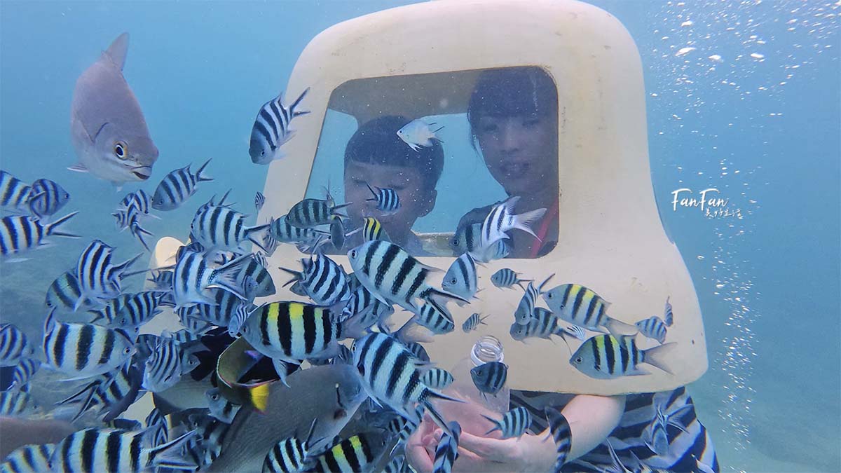 沖繩必玩!不用憋氣也能到海底看熱帶魚!沖繩潛水滑板車/海底滑板車|古宇利大橋水下活動推薦|思い出販売所美ら海潜水 - 第11張圖 沖繩必玩!不用憋氣也能到海底看熱帶魚!沖繩潛水滑板車/海底滑板車|古宇利大橋水下活動推薦|思い出販売所美ら海潜水